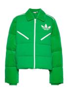 Velvet Puffer Sport Jackets Padded Jacket Green Adidas Originals