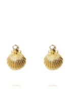 Caroline Svedbom Petite Shell Earrings Guld