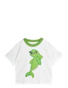 Mini Rodini Dolphin Sp Ss Tee Grön