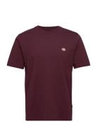 Dickies Ss Mapleton Tee Burgundy