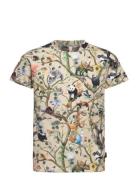 Ralphie Tops T-shirts Short-sleeved Multi/patterned Molo