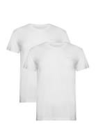 GANT C-Neck T-Shirt 2-Pack Vit