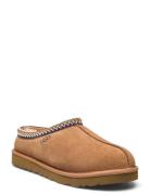 UGG M Tasman Brun