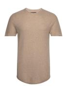 Hco. Guys Sweaters Tops T-shirts Short-sleeved Beige Hollister