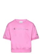 Champion Crewneck Croptop T-Shirt Rosa