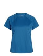 Women Sports T-Shirt Sport T-shirts & Tops Short-sleeved Blue ZEBDIA