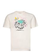 GANT Print Ss Tshirt Kräm