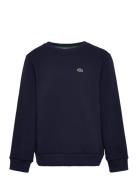 Lacoste Sweatshirts Marinblå