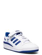 Adidas Originals Forum Low Vit