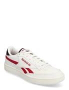 Reebok Classics Club C Revenge Vit