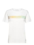 Coster Copenhagen T-Shirt With Gradient Stripe - Mid Vit