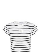 Calvin Klein Jeans Woven Label Rib Baby Tee Multi/patterned