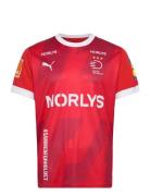 PUMA Dansk Håndbold Home Jersey Röd