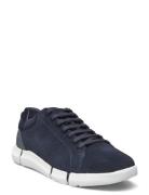 U Adacter A Låga Sneakers Navy GEOX