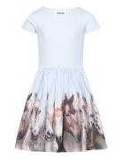 Cissa Dresses & Skirts Dresses Casual Dresses Short-sleeved Casual Dre...