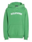 Tommy Hilfiger Hilfiger Arched Hoodie Grön