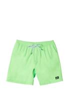 Quiksilver Everyday Solid Volley Yth 14 Grön