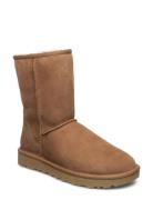 UGG W Classic Short Ii Brun