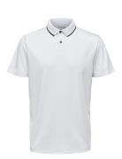 Selected Homme Slhleroy Ss Polo Noos Vit