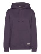 Björn Borg Centre Hoodie Lila