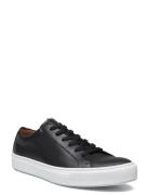 Abel Låga Sneakers Black Lloyd