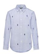 Ralph Lauren Kids Polo Pony Cotton Oxford Shirt Blå