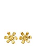 Maanesten Blossom Earrings Guld