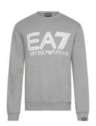 EA7 Sweatshirts Grå