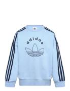 Adidas Originals Crew Blå