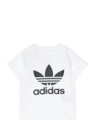 Adidas Originals Trefoil Tee Vit