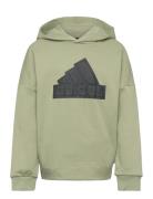 Adidas Sportswear U Fi Logo Hd Khaki Green