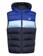 Adidas Sportswear J Sd Vest Blå