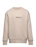 Jack & J S Jorvesterbro Sweat Crew Neck Noos Jnr Beige