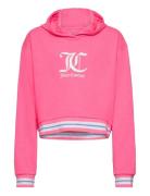 Juicy Couture Juicy Rib Tipping Oth Hoodie Lb Rosa