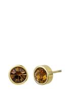 Bud To Rose Lima Small Earring Guld