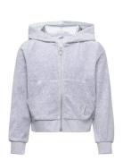 Lindex Sweatshirt Velour With Hoodie Grå