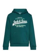 Jack & J S Jjelogo Sweat Hood 2 Col 24/25 Noos Mni Grön