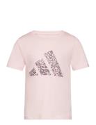 Adidas Sportswear Train Girls Aop Rosa