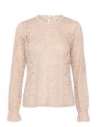 Cream Crtiley Lace Blouse Rosa