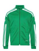 Adidas Performance Squadra21 Training Jacket Youth Grön