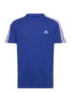 Adidas Sportswear Essentials Single Jersey 3-Stripes T-Shirt Blå