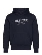 Tommy Hilfiger Big Hilfiger Hoody Marinblå