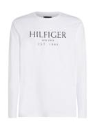 Tommy Hilfiger Big Hilfiger Ls Tee Vit