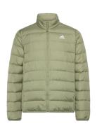 Adidas Sportswear Adidas Essentials Light Down Jacket Grön