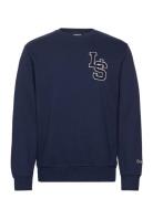 LEVI´S Men Standard Graphic Crew Ls Lette Marinblå