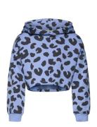 Tom Tailor Cropped All Over Printed Hoody Blå