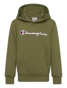 Champion Hooded Sweatshirt Grön