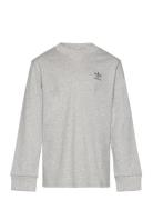 Adidas Originals Long Sleeve Grå