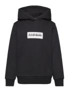 Napapijri Chamois Hoodie Svart