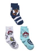 Paw Patrol Socks Multi/patterned